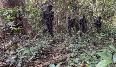 Nigeria: des hommes armés tuent au moins 35 personnes dans le centre-ouest