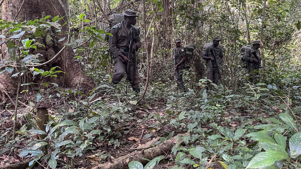 Nigeria: des hommes armés tuent au moins 35 personnes dans le centre-ouest