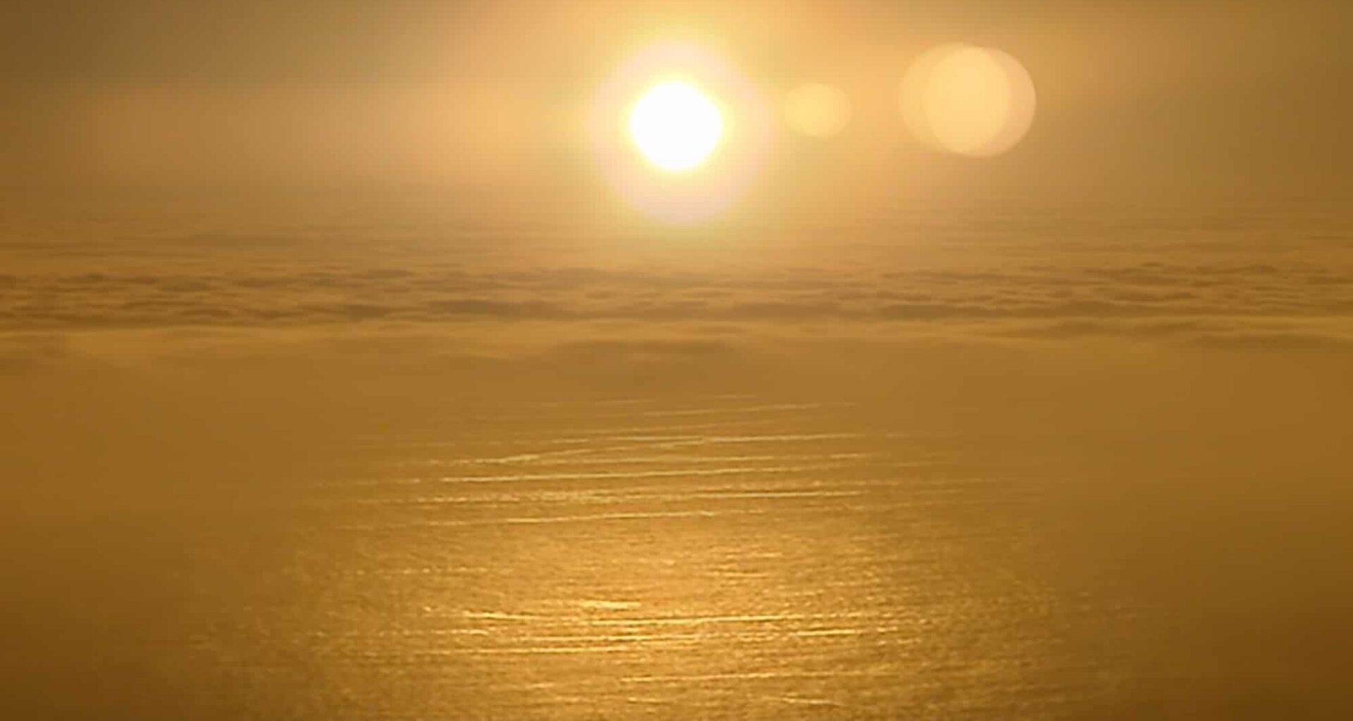 Chère Afrique du Sud : notre webdocumentaire loin des clichés