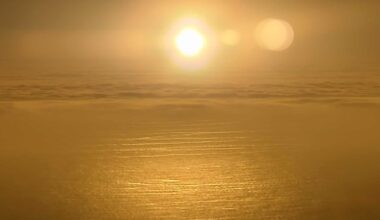 Chère Afrique du Sud : notre webdocumentaire loin des clichés