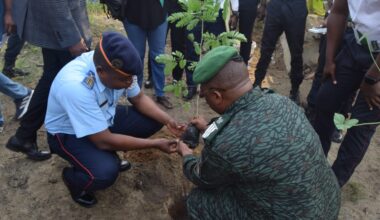 Côte d’Ivoire : les pompiers plantent une cinquantaine d’arbres forestiers dont l’Akpi, le G-Melina et l’Albizia
