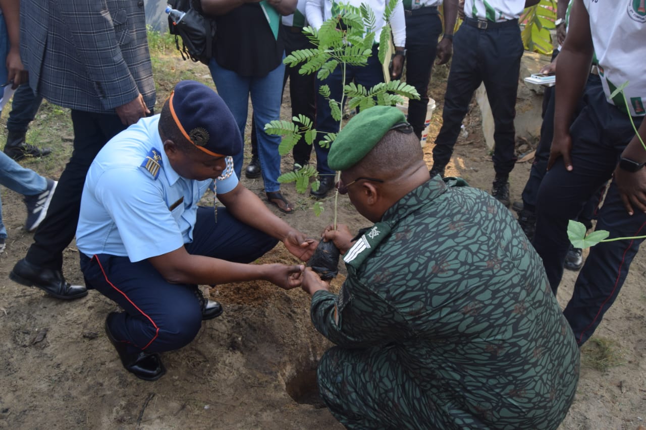 Côte d’Ivoire : les pompiers plantent une cinquantaine d’arbres forestiers dont l’Akpi, le G-Melina et l’Albizia
