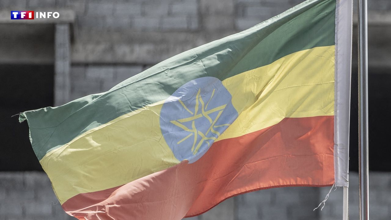 Éthiopie : au moins 9 personnes infectées par le dangereux virus de Marburg, une épidémie confirmée