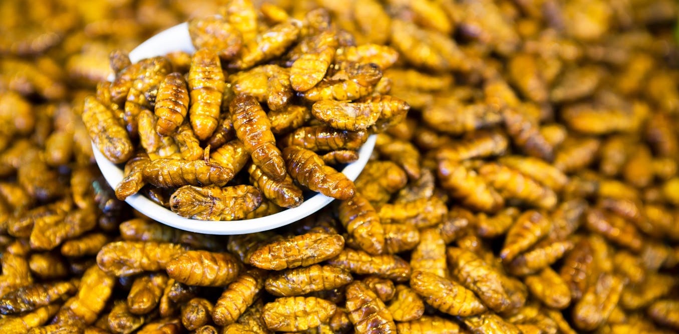 Après la liquidation d’Ynsect, l’élevage d’insectes a-t-il un avenir en Europe ?