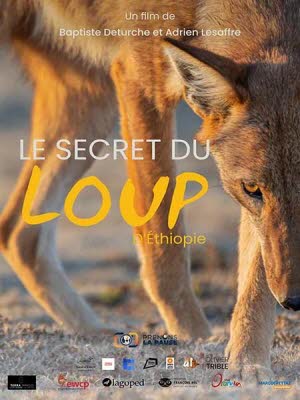 Illustration Le secret du loup d