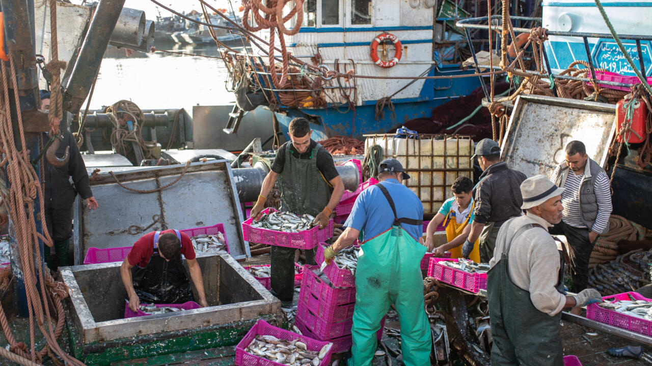 Le nouvel accord commercial UE-Maroc comprenant les produits du Sahara occidental divise - Afrique économie