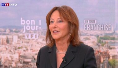 "Un jour, il sera trop tard" : sur TF1, Ségolène Royal exhorte Emmanuel Macron à la "réconciliation" avec l'Algérie