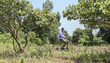 Terres rares: au Kenya, les habitants de Mrima hill et leur forêt dans le viseur des investisseurs étrangers