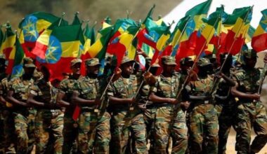 reprise des combats au Tigré, les vols suspendus vers la région