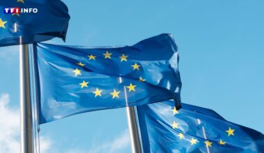 "War game" : une simulation prévue en Europe pour tester la clause d'assistance mutuelle