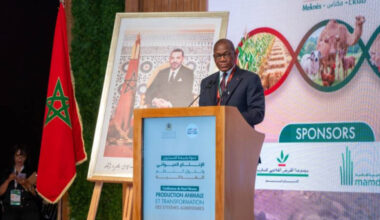 Amélioration génétique animale : la Côte d’Ivoire mise sur l’expertise marocaine