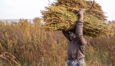 Indice 2026 du développement humain: les inégalités font perdre à l’Afrique 30% de son potentiel