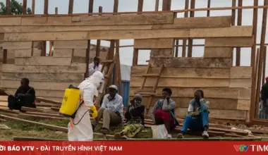 Vietnam.vn - Nền tảng quảng bá Việt Nam