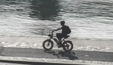 Que révèle cette étude européenne sur l'achat de vélo électrique en ligne?