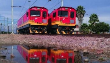 Afrique du Sud : Transnet prépare LeaseCo, un projet public-privé de location de matériel roulant