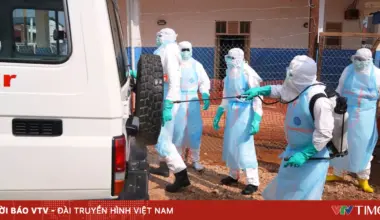 Vietnam.vn - Nền tảng quảng bá Việt Nam