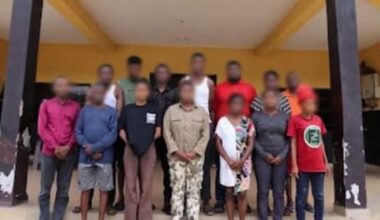 Nigeria : Le NIS démantèle un réseau criminel, arrête 12 suspects étrangers et alerte le public
