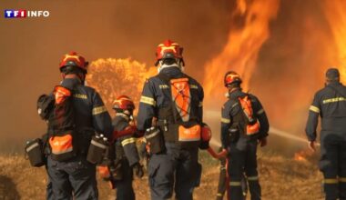 "Un signal fort" : Pays-Bas, Écosse, Espagne, Portugal... jamais la saison des incendies n'a été aussi précoce en Europe