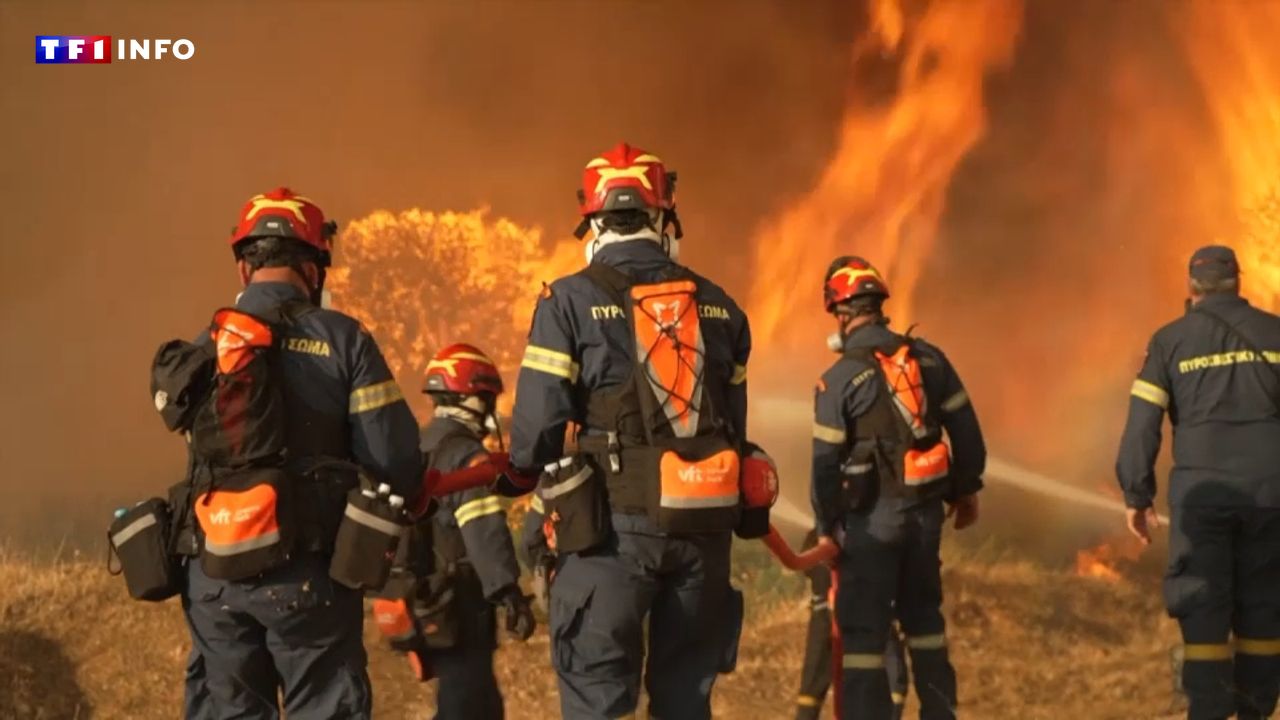"Un signal fort" : Pays-Bas, Écosse, Espagne, Portugal... jamais la saison des incendies n'a été aussi précoce en Europe