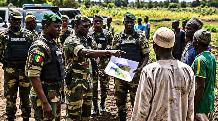 Sénégal-Gambie : les agriculteurs gambiens récupèrent leurs exploitations