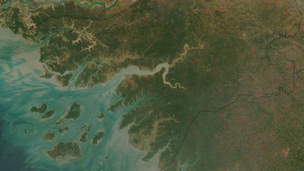 Le Sénégal et la Guinée-Bissau déploient des patrouilles conjointes le long de leur frontière