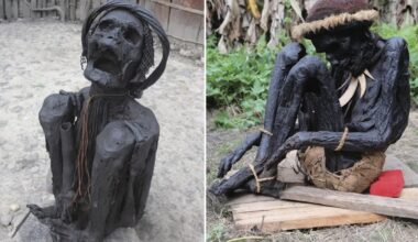Ni en Égypte ni au Pérou : les plus anciennes momies de la planète se trouvent dans un lieu inattendu, et réécrivent l'origine de la momification