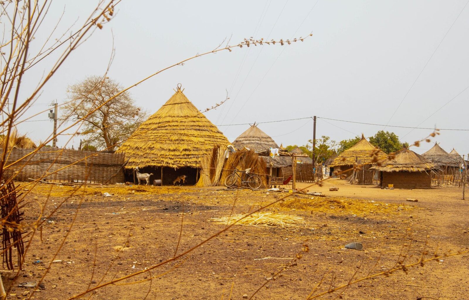 Sénégal : 40 % de la population privée de connectivité numérique - Africtelegraph