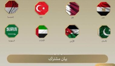 L’Égypte et sept autres pays condamnent la poursuite de la colonisation israélienne dans les territoires palestiniens occupés