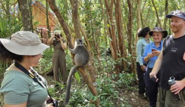 Afrique. Madagascar fait le pari du tourisme durable et espère doubler son nombre de visiteurs