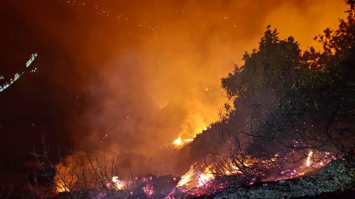 L&rsquo;Algérie face à une nouvelle vague d&rsquo;incendies : 74 feux de forêt en 24 h