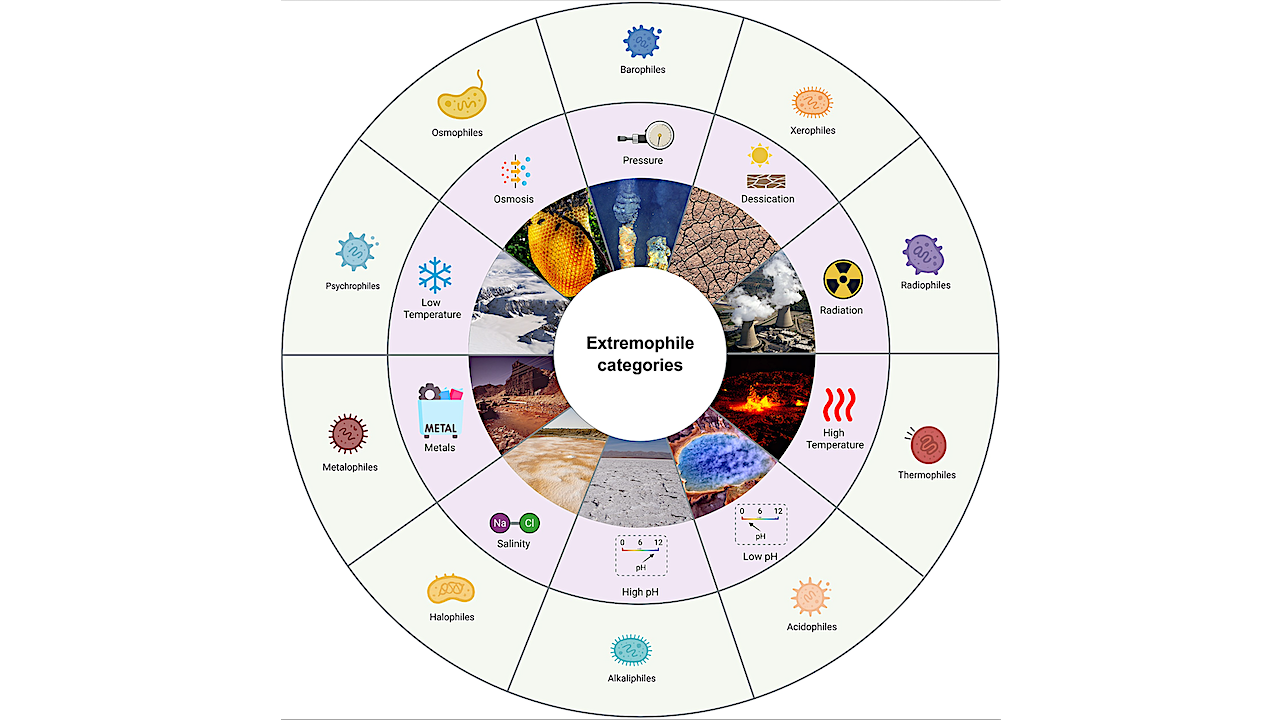Decoding Extremophiles: Insights From Bioinformatics, Machine Learning, And Data-driven Approaches