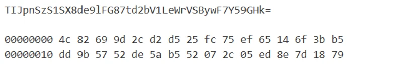 Screenshot of hexadecimal binary data