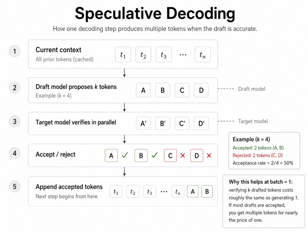 Diagram showing a smaller draft model generating candidate tokens that are checked and accepted or rejected by a larger language model.