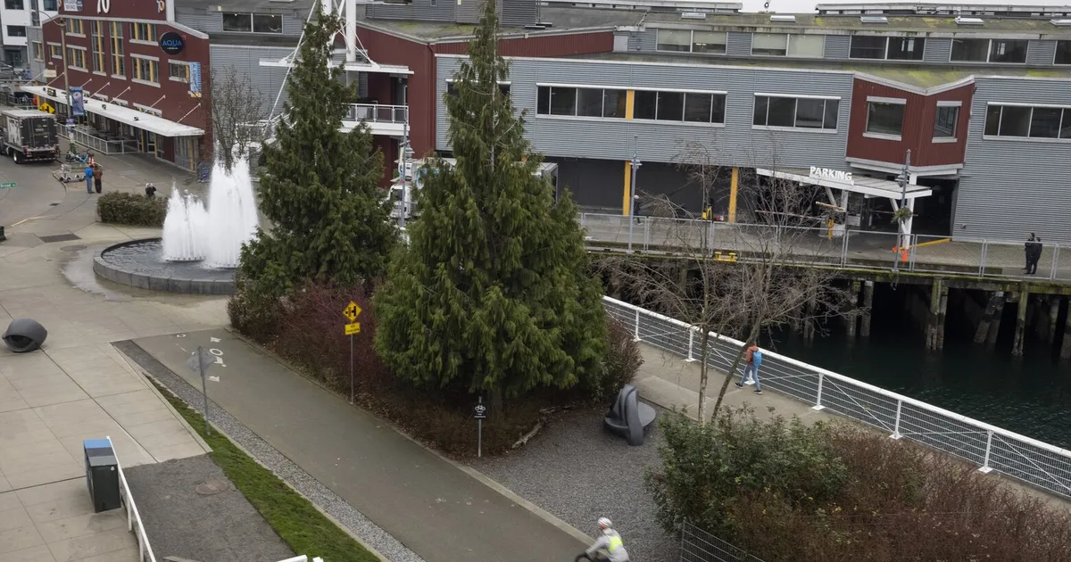 Seattle attracts tech startups amid AI boom