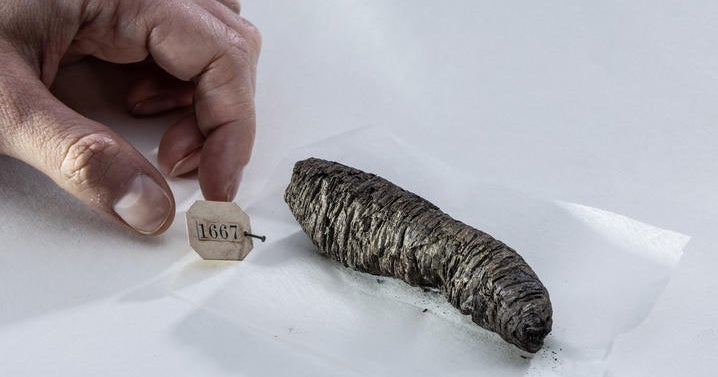 Scientists decipher new secrets from ancient scrolls scorched by Vesuvius eruption: "Finally able to read them"