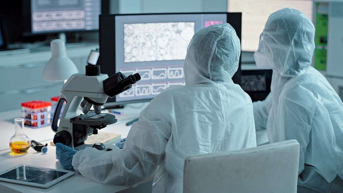 Scientists do tests in a lab.