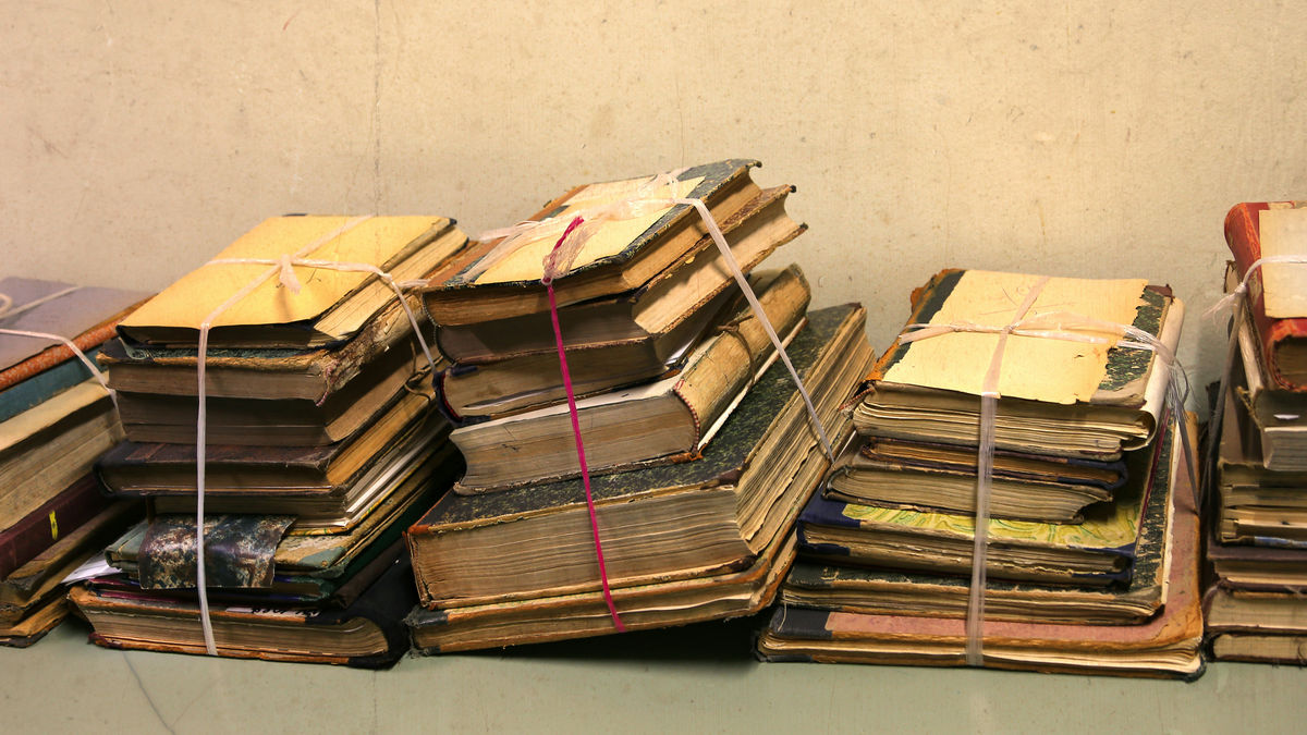 Concerns have been raised that Anthropic will lose rare books by cutting up millions of physical books and digitizing them for AI training, but Elon Musk has reassured that 'SpaceX AI would not do that.'