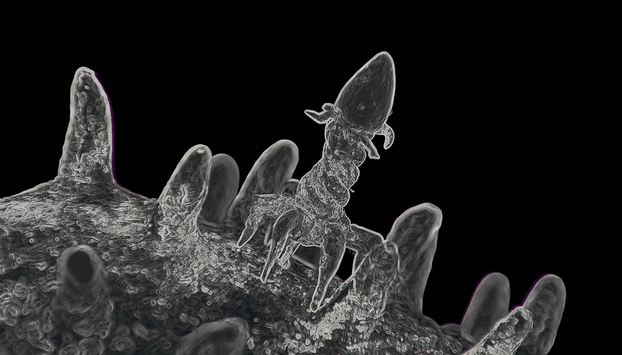 AI program designs new bacteriophages