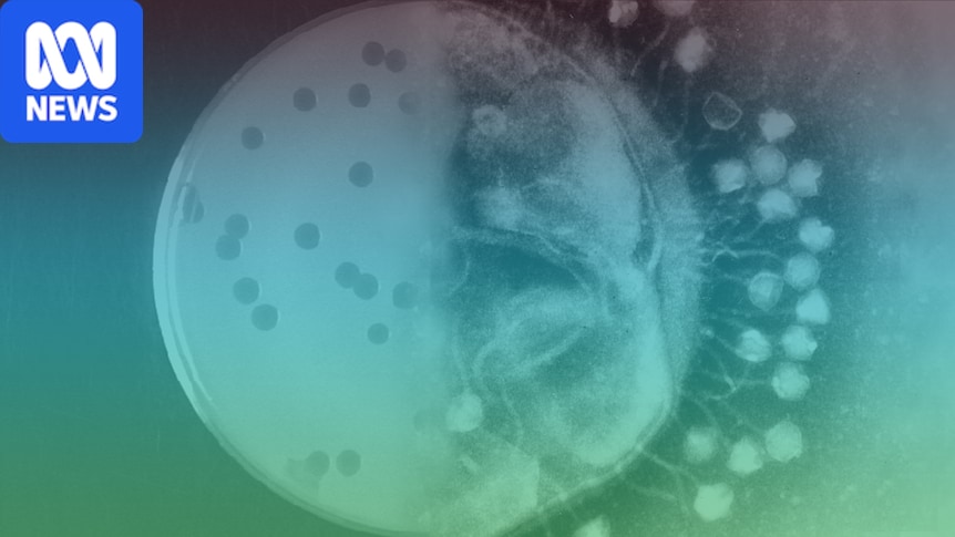 Stanford researchers create viruses not found in nature using genomes designed by artificial intelligence