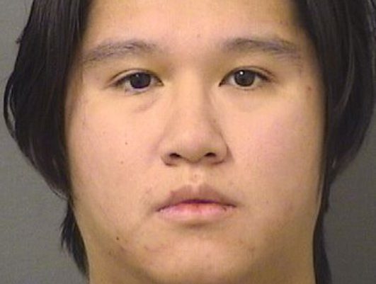 Florida man sentenced for telling ChatGPT of plans to kill ex