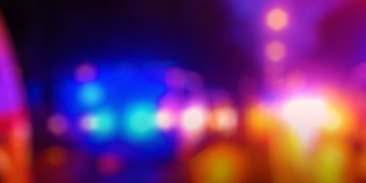 Teen accused of killing mother, brother after using ChatGPT to explore ‘fantasy stories’ of family’s death