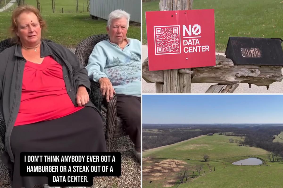 'Country hick' Kentucky farmers reject AI company's $26M offer to build data centers on land