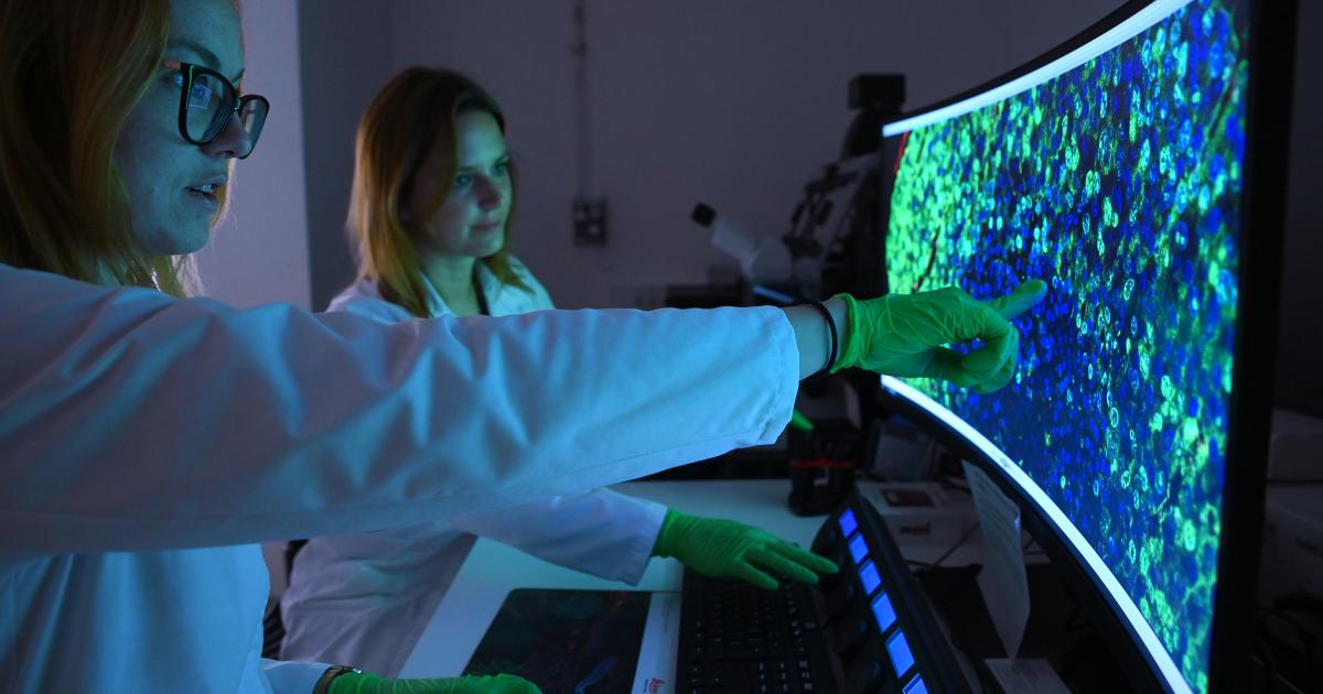 Biological AI models: new paradigms to leverage the languages of life