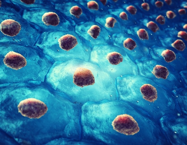 AI identifies key gene driving aging in blood stem cells