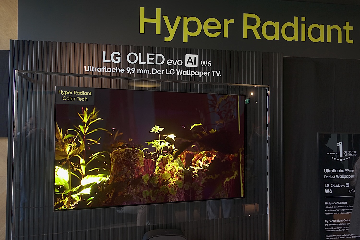 LG OLED W6