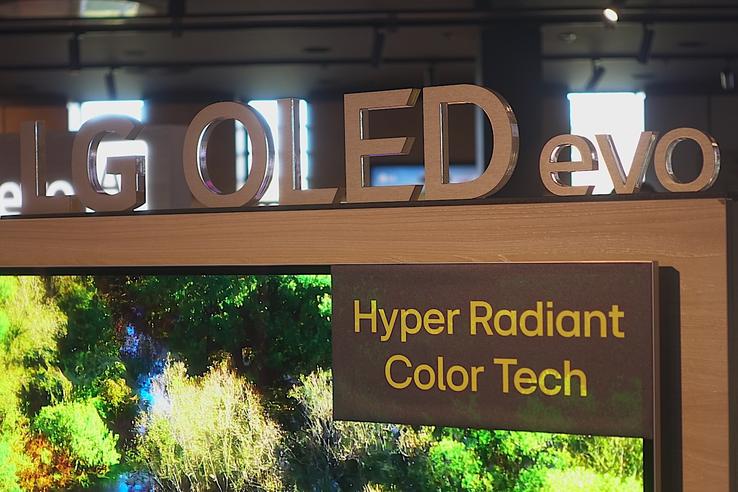 LG OLED 2026