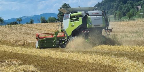 Konventionelle Anbauflächen – aktuelle Entwicklung | Landwirtschaftskammer Kärnten