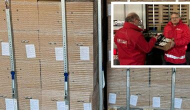 Aus Ukraine - 75.000 illegal importierte Eier in Wien entdeckt