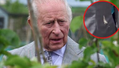 Aus heiterem Himmel - „Luftschlag“ gegen King Charles in Nordirland