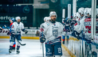 Transfer: Fehervar AV19 verpflichtet Torhüter mit Black Wings Linz Vergangenheit! - Hockey-News.info